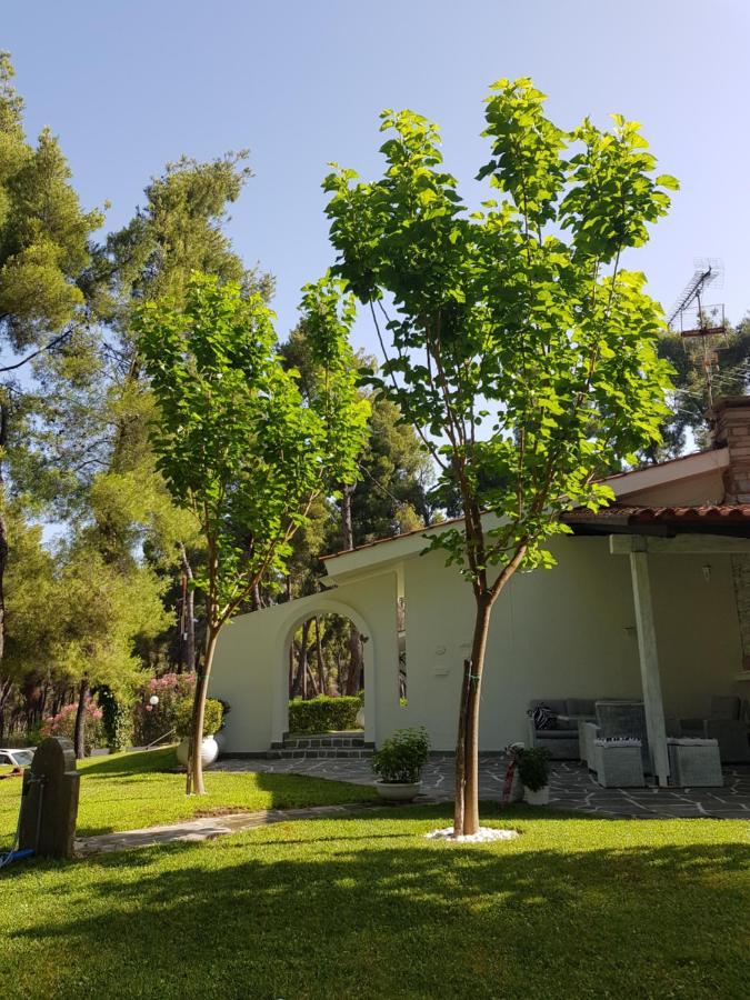 Sani Villa Christy Екстер'єр фото